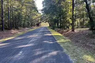 2401 Cannon Rd, Round O, SC 29474 - Photo 57