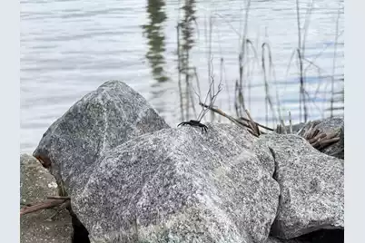 213 Ashmont Drive, Wando, SC 29492 - Photo 43