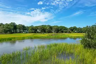 1616 Relyea Ave, Charleston, SC 29412 - Photo 29