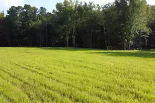 4 Grooms Rd, Cross, SC 29436 - Photo 17