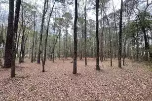 113 Gen Estates Ln, Summerville, SC 29486 - Photo 23