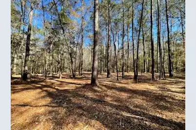 127 Gen Estates Lane, Summerville, SC 29486 - Photo 29