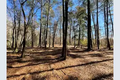 127 Gen Estates Lane, Summerville, SC 29486 - Photo 19