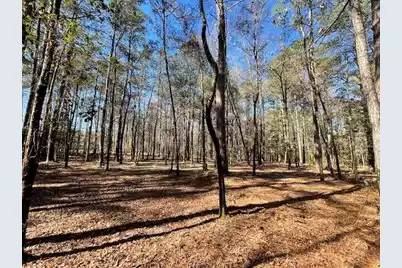 127 Gen Estates Lane, Summerville, SC 29486 - Photo 21