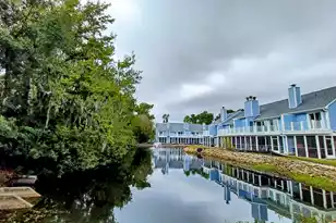 850 Ilex Ct, Mount Pleasant, SC 29464 - Photo 9