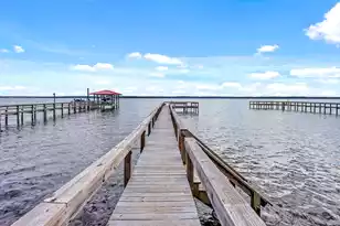 3550 Princess Pond Rd, Summerton, SC 29148 - Photo 57