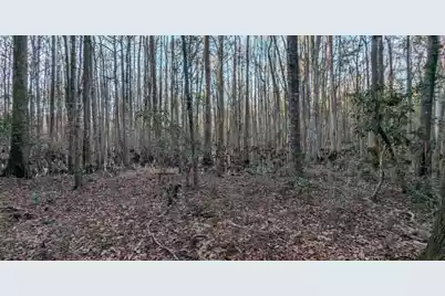 1981 Liberia Road, Wadmalaw Island, SC 29487 - Photo 5