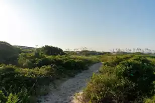 1773 Atlantic Ave, Sullivans Island, SC 29482 - Photo 79