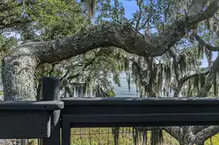 1415 Smythe St, Charleston, SC 29492 - Photo 65