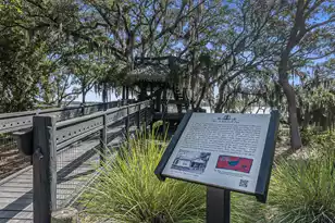 1415 Smythe St, Charleston, SC 29492 - Photo 61