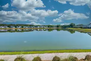 6972 Pumpkinseed Dr, Johns Island, SC 29455 - Photo 85