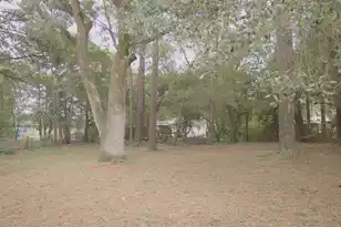 109 Bishop St, Walterboro, SC 29488 - Photo 43