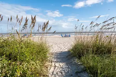 6 Ocean Park Court, Isle Of Palms, SC 29451 - Photo 57