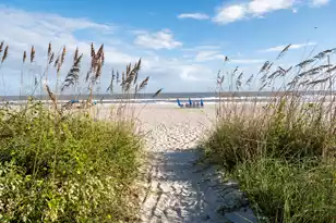 6 Ocean Park Ct, Isle Of Palms, SC 29451 - Photo 57