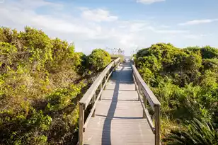 6 Ocean Park Ct, Isle Of Palms, SC 29451 - Photo 55