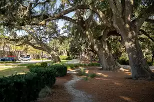 130 River Landing Dr, Charleston, SC 29492 - Photo 73