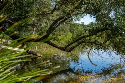 172 Mary Ellen Drive, Charleston, SC 29403 - Photo 65