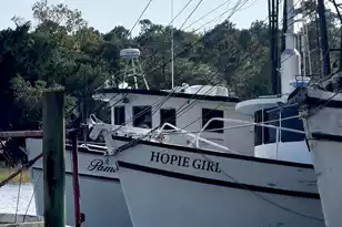 210 Cassena St, McClellanville, SC 29458 - Photo 51