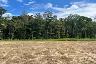 454 Tulip Poplar Dr, Moncks Corner, SC 29461 - Photo 1