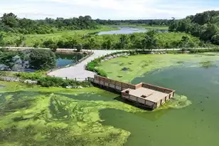 454 Tulip Poplar Dr, Moncks Corner, SC 29461 - Photo 17