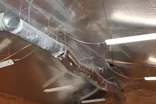 338 Browning Rd, Elloree, SC 29047 - Photo 53