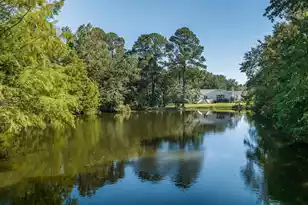 933 Lakeview Dr, Mount Pleasant, SC 29464 - Photo 79