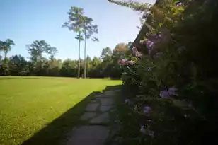 3033 Old Pond Rd, Johns Island, SC 29455 - Photo 37