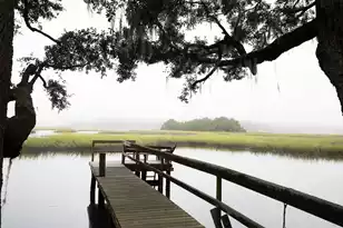 3924 Gift Blvd, Johns Island, SC 29455 - Photo 111