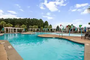 260 Overcup Loop, Summerville, SC 29486 - Photo 59