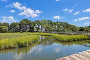 830 Curved Crk Ct, Charleston, SC 29412 - Photo 67