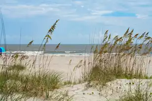 2904B Palm, Isle Of Palms, SC 29451 - Photo 83