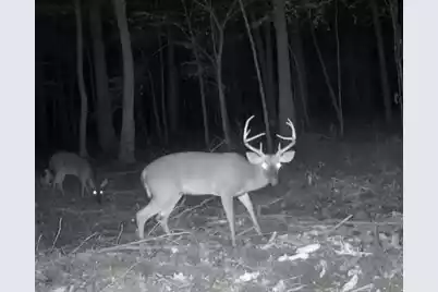 191 Melrose Place, Moncks Corner, SC 29461 - Photo 13