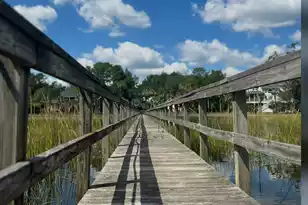 1756 Greenspoint Ct, Mount Pleasant, SC 29466 - Photo 3