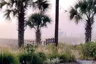 1756 Greenspoint Ct, Mount Pleasant, SC 29466 - Photo 47