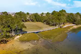 1459 Wando Landing St, Charleston, SC 29492 - Photo 71