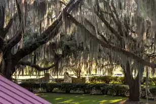 1451 River Rd, Yemassee, SC 29945 - Photo 71