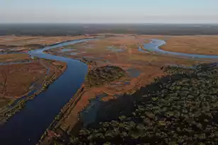 1451 River Rd, Yemassee, SC 29945 - Photo 85