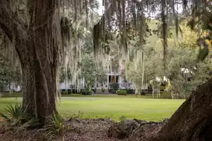 1451 River Rd, Yemassee, SC 29945 - Photo 23