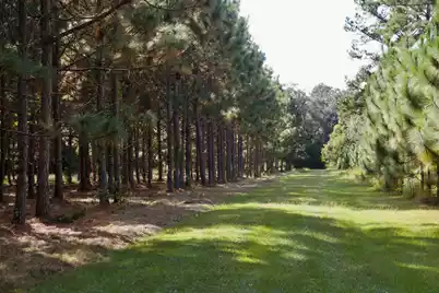 1451 River Road, Yemassee, SC 29945 - Photo 107