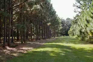 1451 River Rd, Yemassee, SC 29945 - Photo 107