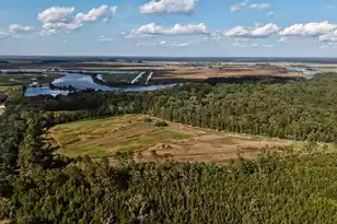 1451 River Rd, Yemassee, SC 29945 - Photo 83