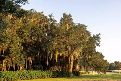 1451 River Road, Yemassee, SC 29945 - Photo 41