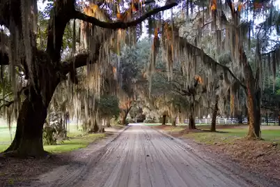1451 River Road, Yemassee, SC 29945 - Photo 111