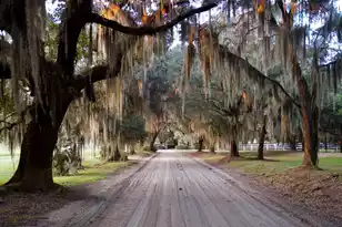 1451 River Rd, Yemassee, SC 29945 - Photo 111