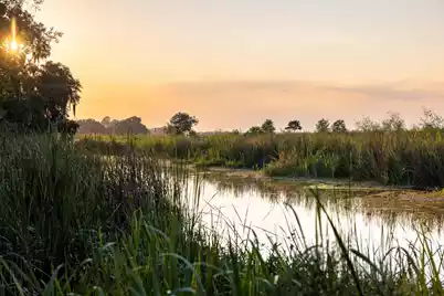 1451 River Road, Yemassee, SC 29945 - Photo 35