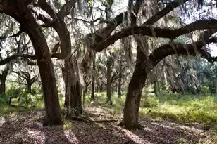 1451 River Rd, Yemassee, SC 29945 - Photo 93