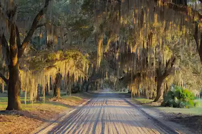 1451 River Road, Yemassee, SC 29945 - Photo 21