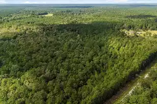 130 Tygerpaw Trl, Saint Stephen, SC 29479 - Photo 9