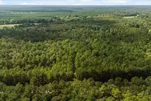 130 Tygerpaw Trl, Saint Stephen, SC 29479 - Photo 11