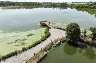 417 Tulip Poplar Dr, Moncks Corner, SC 29461 - Photo 41